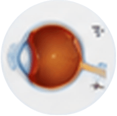 GalauComa